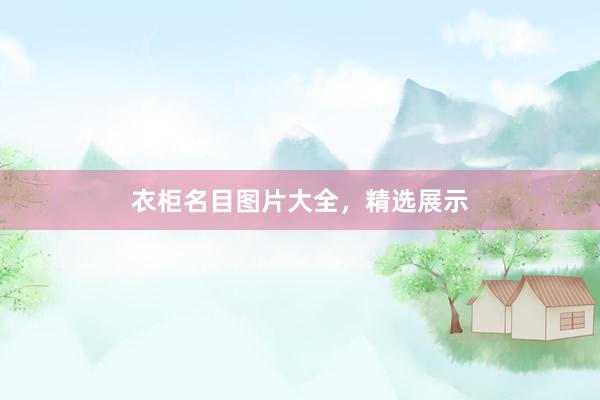 衣柜名目图片大全，精选展示